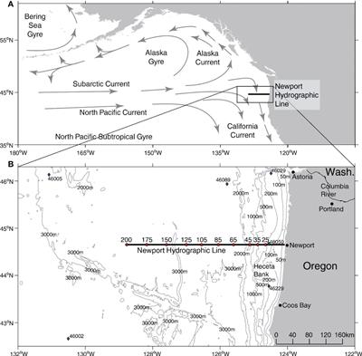 Planktonic foraminiferal assemblages reflect warming during two recent mid-latitude marine heatwaves